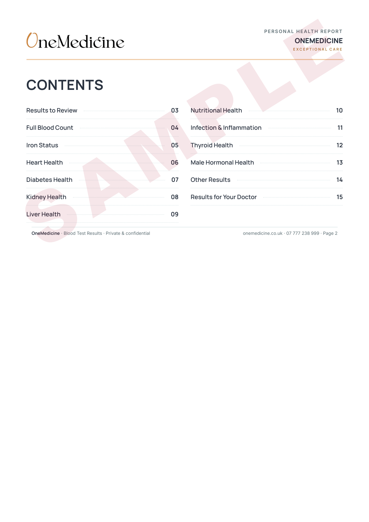 Sample report contents page